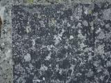 image of grave number 972980